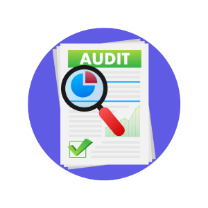 Website SEO audit icon - Saad Ahmed Turk