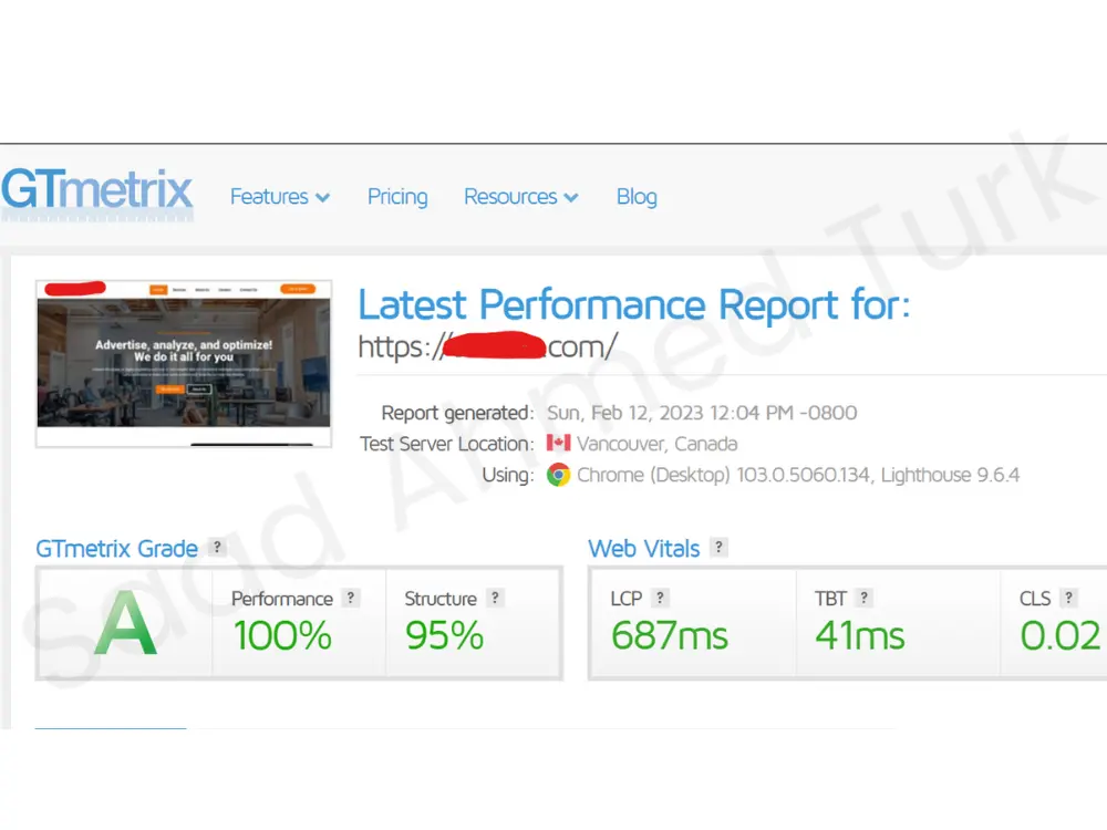 Website performance optimization by Saad_ahmed_turk