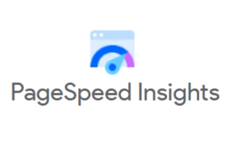 Google Page Speed Insights logo -SEO Audit Tool